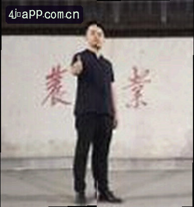 张磊